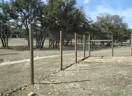 deer proof garden fence pine posts