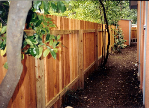 simple wood backyard fence