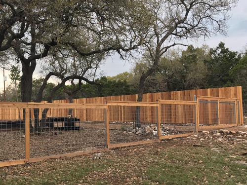 4ft cattle panel fence trimmed in cedar with top ledge (outside view)